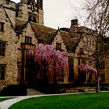 Branford and Saybrook Colleges at Yale